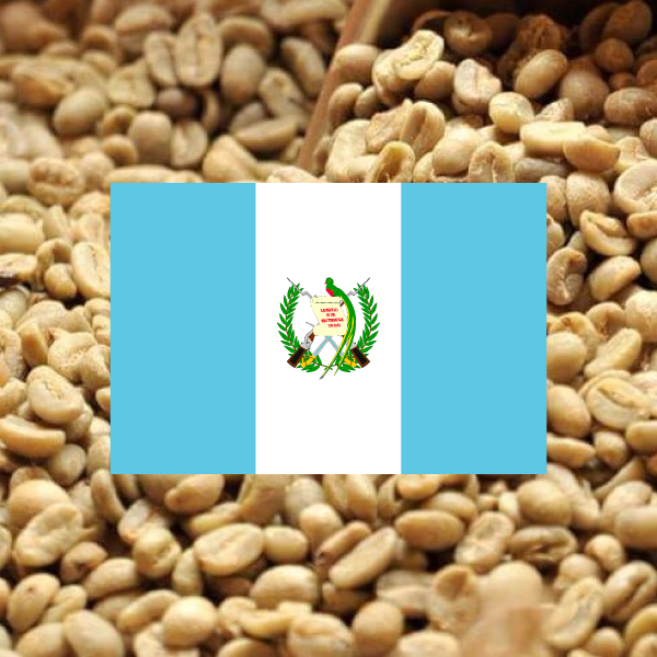 ガテマラ　アンティグア　アゾティア農園　35Kg