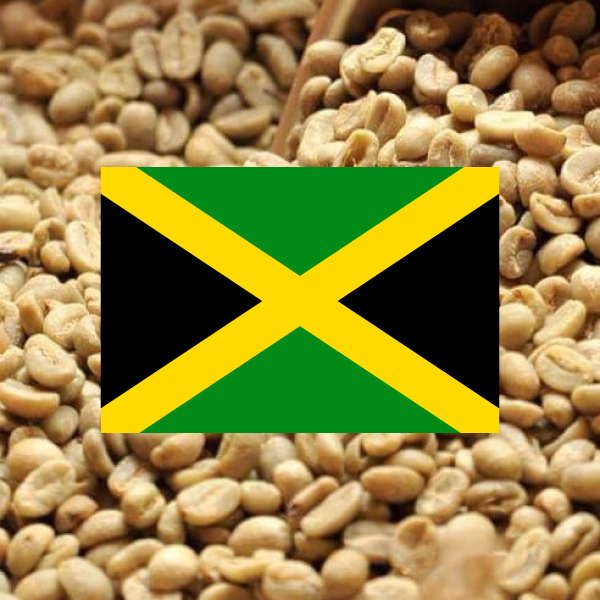 ブルーマウンテンNo.1　クライスデール