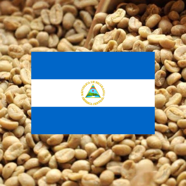 ニカラグア　ラロカ　35Kg